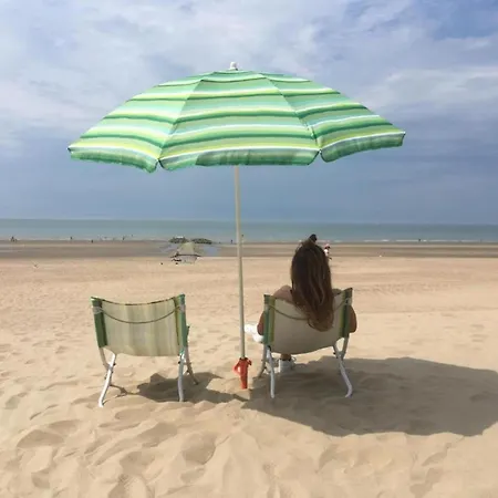 Appartement In St Idesbald With Sea Views *